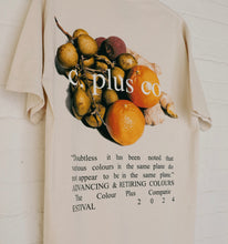 Load image into Gallery viewer, The FRUITS: Series Two Tee in Cream