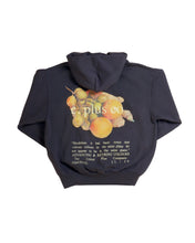 Load image into Gallery viewer, The FRUITS TWO Hoodie in Dolphin Blue
